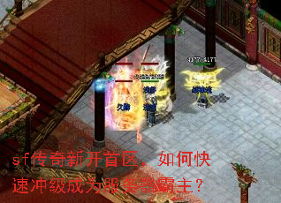 sf¿οٳ弶Ϊ