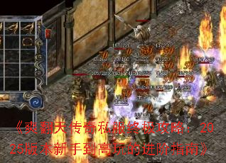 ˬ촫˽ռԣ2025汾ֵĽָϡ