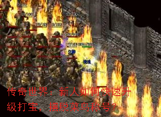 磺ο򱦣Ѳƺţ