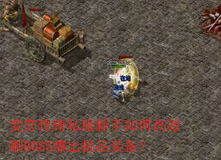 ̬˽θЧˢBOSSƷװ