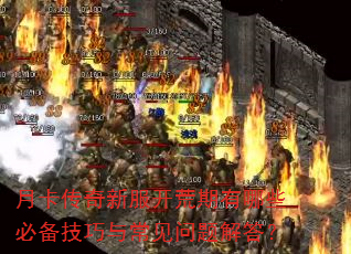 ¿·Щر볣