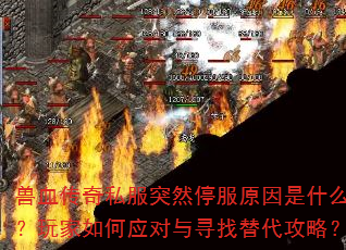 Ѫ˽ͻȻͣԭʲôӦѰԣ