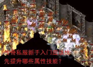 ˽ӦЩԼܣ