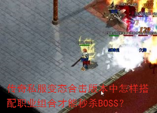˽̬ϻ汾ְҵϲɱBOSS