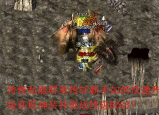 ˽ȺӢSFοȡװսռBOSS