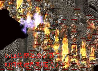 ��Ѫ����˽��sf������ο���ˢ����������