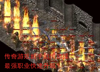 ������Ϸ�������ѡ����ǿְҵ����������