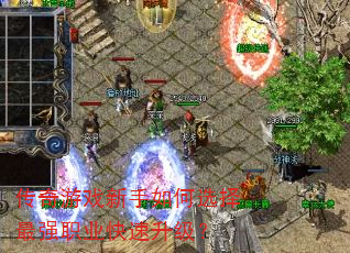 ������Ϸ�������ѡ����ǿְҵ����������