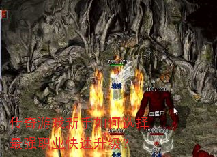 ������Ϸ�������ѡ����ǿְҵ����������