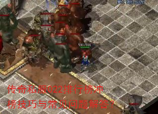 ����˽��022���а������볣��������