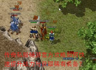 传奇私服畅游官方攻略如何快速提升战力与获取稀有装备? 传奇私服畅游官方攻略如何快速提升战力与获取稀有装备?