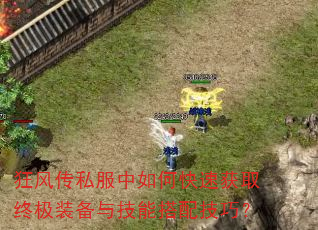 紫˽οٻȡռװ뼼ܴ似ɣ