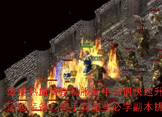 微变热血传奇私服新手如何快速升级与获取顶级装备?高手有哪些必学副本挑战技巧? 微变热血传奇私服新手如何快速升级与获取顶级装备?高手有哪些必学副本挑战技巧?