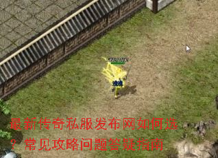 最新传奇私服发布网如何选?常见攻略问题答疑指南 最新传奇私服发布网如何选?常见攻略问题答疑指南