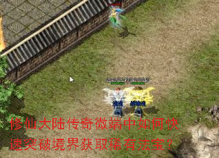 修仙大陆传奇微端中如何快速突破境界获取稀有法宝? 修仙大陆传奇微端中如何快速突破境界获取稀有法宝?