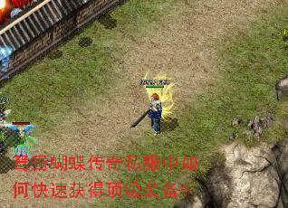 鸳鸯蝴蝶传奇私服中如何快速获得顶级装备? 鸳鸯蝴蝶传奇私服中如何快速获得顶级装备?