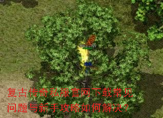 ���Ŵ���˽���������س������������ֹ�����ν����