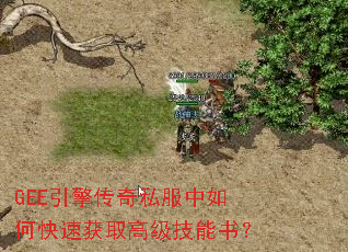 GEE���洫��˽������ο��ٻ�ȡ�߼������飿