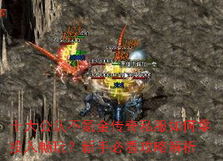 ʮ���ϲ�봽���˽�������Ͷ�볩�棿���ֱؿ����Խ���