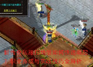 �´���˽��ɨ��ɮ��ο�������ְҵ������ʵս����ȫ����