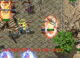 ��α�д�����Զ�����ħ���ű���