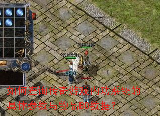 ��β�ѯ������Ϸ�ڹ�ϵͳ�ľ����������ƷBD���ݣ�