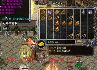 如何在传奇游戏中实现快速升级? 如何在传奇游戏中实现快速升级?