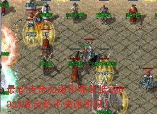 最新传奇私服中哪些低级BOSS适合新手快速刷取? 最新传奇私服中哪些低级BOSS适合新手快速刷取?