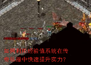 ������þ���ֵϵͳ�ڴ���˽���п�������ʵ����