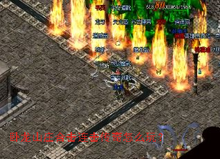 ����ɽׯ�ϻ�����������ô�棿