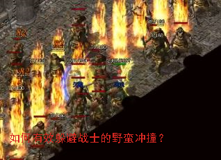 �����Ч���սʿ��Ұ����ײ��