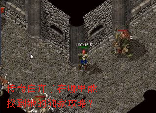 传奇白卉子在哪里能找到她的独家攻略? 传奇白卉子在哪里能找到她的独家攻略?