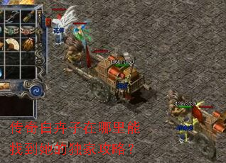 传奇白卉子在哪里能找到她的独家攻略? 传奇白卉子在哪里能找到她的独家攻略?