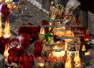 ����սʿְҵ��������Щ��ȱ�㣿