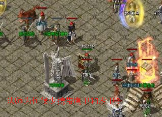 法师为何很少携带鹰卫和虎卫? 法师为何很少携带鹰卫和虎卫?