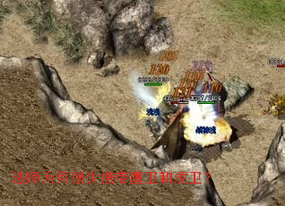 法师为何很少携带鹰卫和虎卫? 法师为何很少携带鹰卫和虎卫?