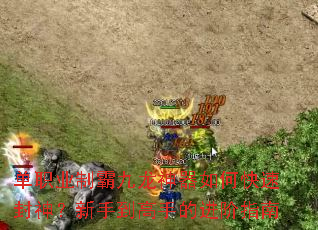单职业制霸九龙神器如何快速封神?新手到高手的进阶指南 单职业制霸九龙神器如何快速封神?新手到高手的进阶指南