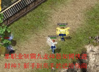 单职业制霸九龙神器如何快速封神?新手到高手的进阶指南 单职业制霸九龙神器如何快速封神?新手到高手的进阶指南