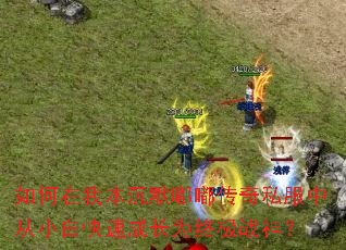 ������ұ���Ĭ�ུ���˽���д�С�׿��ٳɳ�Ϊ�ռ�ս��