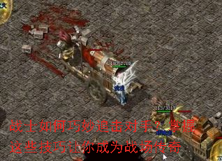 սʿ�������׷�����֣�������Щ���������Ϊս������