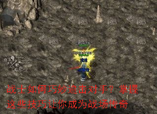 սʿ�������׷�����֣�������Щ���������Ϊս������