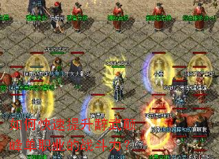 ��ο�����������߷嵥ְҵ��ս������