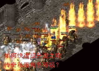 如何快速提升龙之吻传奇私服角色等级? 如何快速提升龙之吻传奇私服角色等级?