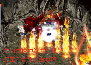 ��ο��ٳ弶����Ч�򱦣����ֱؿ�����