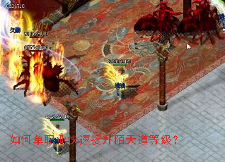 如何单职业快速提升陌天道等级? 如何单职业快速提升陌天道等级?