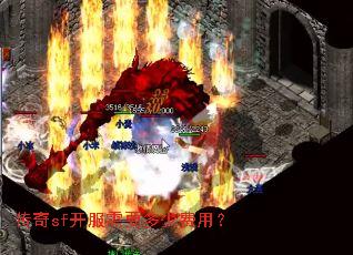 传奇sf开服需要多少费用? 传奇sf开服需要多少费用?