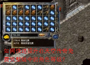 如何快速提升在天空传奇免费完整版中的角色等级? 如何快速提升在天空传奇免费完整版中的角色等级?