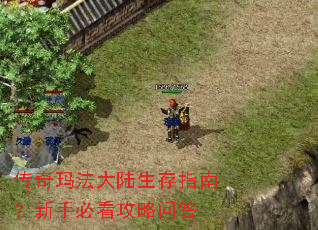 传奇玛法大陆生存指南?新手必看攻略问答 传奇玛法大陆生存指南?新手必看攻略问答