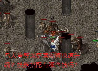 ����³����������ο������������ܴ�������Щ���ɣ�